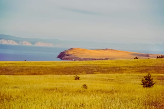 Autumnal nature on Lake Baikal. Landscape and flora of Baikal