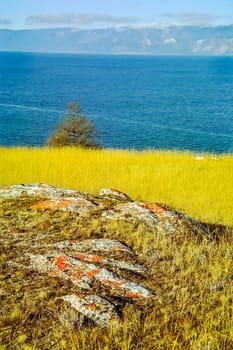 Autumnal nature on Lake Baikal. Landscape and flora of Baikal