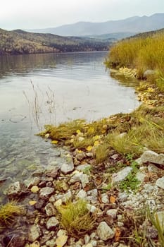 Autumnal nature on Lake Baikal. Landscape and flora of Baikal