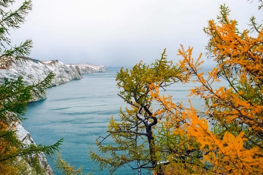 Autumnal nature on Lake Baikal. Landscape and flora of Baikal