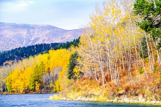 Autumnal nature on Lake Baikal. Landscape and flora of Baikal