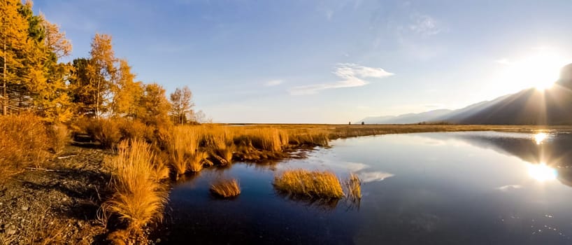 Autumnal nature on Lake Baikal. Landscape and flora of Baikal