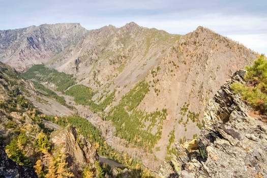 Autumnal nature on Lake Baikal. Landscape and flora of Baikal