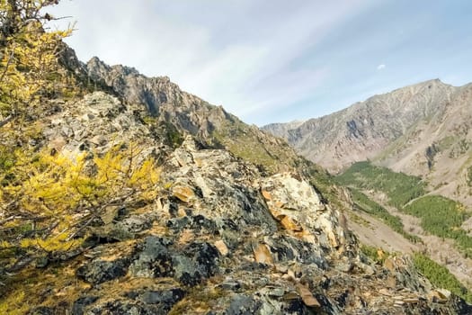 Autumnal nature on Lake Baikal. Landscape and flora of Baikal