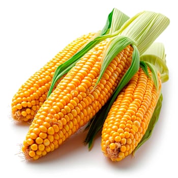 Fresh corn cobs on white isolated background AI generated image