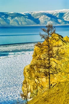 Autumnal nature on Lake Baikal. Landscape and flora of Baikal