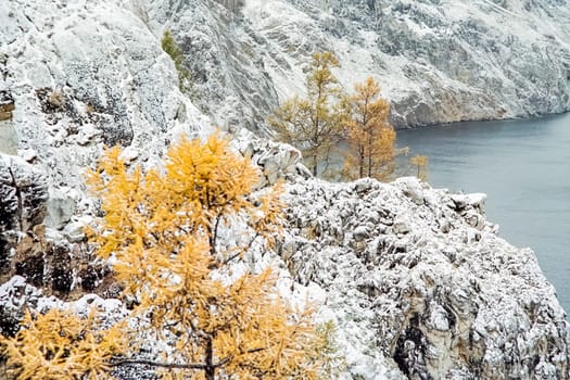 Autumnal nature on Lake Baikal. Landscape and flora of Baikal