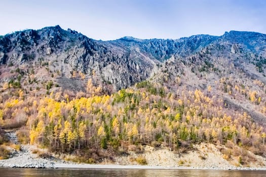 Autumnal nature on Lake Baikal. Landscape and flora of Baikal
