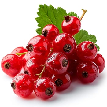 Red currant berry on a white isolated background AI generated image