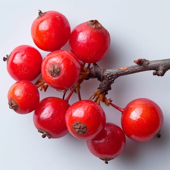 Red currant berry on a white isolated background AI generated image