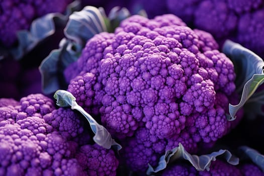 Closeup photo of purple cauliflower. Fresh organic raw violet vegetable. Generate ai