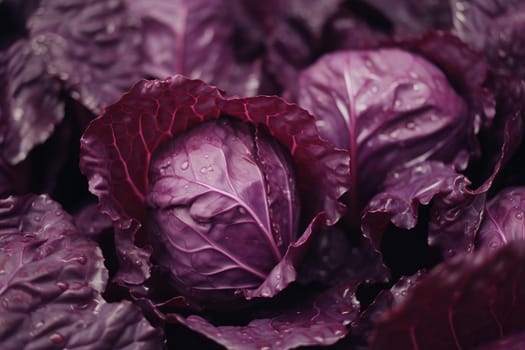 Red cabbage closeup. Colored and layered large vegetable falls water. Generate AI