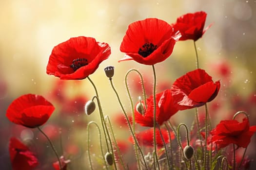Red poppy flowers. Meadow nature. Generate Ai