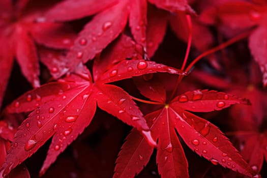 Red leaves night. Dark abstract leaf. Generate Ai