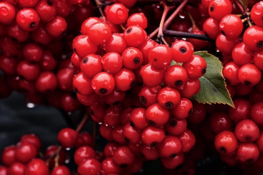 Red berries branch viburnum fall. Flora garden plant ash crimson. Generate Ai