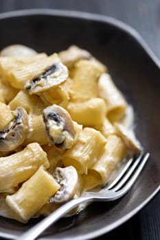close up of plate of italian rigatoni pasta in mushroom cream sauce