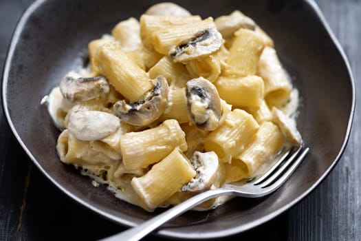 close up of plate of italian rigatoni pasta in mushroom cream sauce