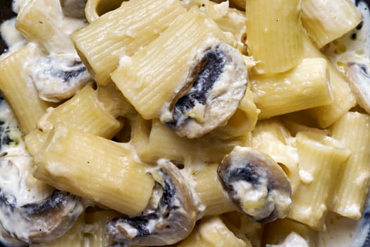 close up of of italian rigatoni pasta in mushroom cream sauce  food background