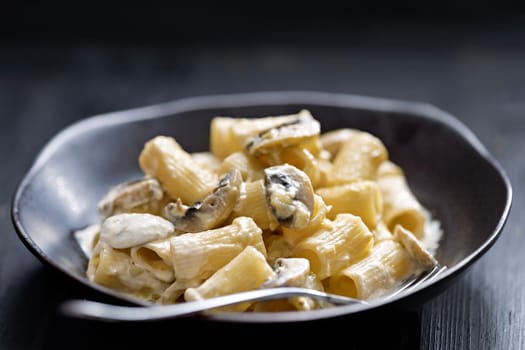close up of plate of italian rigatoni pasta in mushroom cream sauce