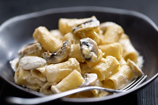 close up of plate of italian rigatoni pasta in mushroom cream sauce