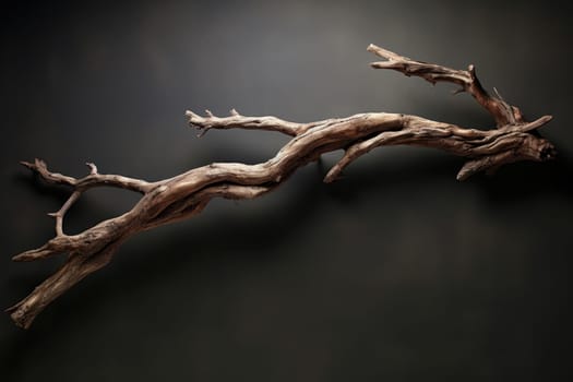 Rustic wood twig window. Natural abstract. Generate Ai