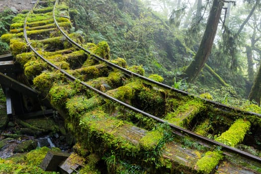 Hiking trail in Taipingshan of Yilan Jianqing Huaigu Trail
