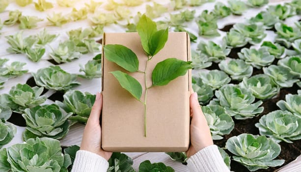 Woman hands holding cardbox from natural recyclable materials with green leaves sprout from above. Responsible consumption, eco friendly packaging, zero waste concept.