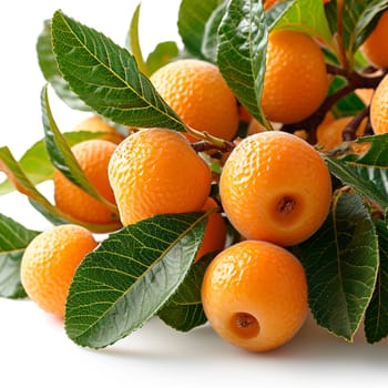 Longan, exotic fruit on white isolated background AI generated image