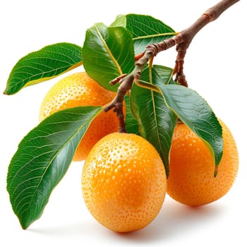 Longan, exotic fruit on white isolated background AI generated image