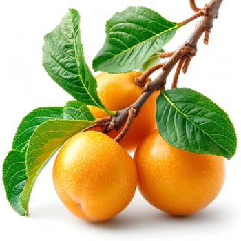 Longan, exotic fruit on white isolated background AI generated image