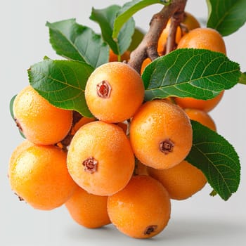 Longan, exotic fruit on white isolated background AI generated image