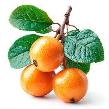 Longan, exotic fruit on white isolated background AI generated image