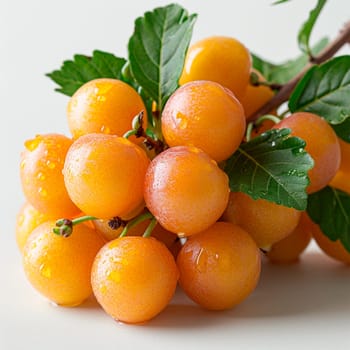 Exotic marula fruit on white isolated background AI generated image