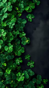 Clover with black background for St. Patricks day. Neural network generated image. Not based on any actual scene or pattern.