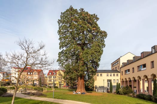 Kronberg, Germany - February 22, 2023: view at old School park in Kronberg sponsored by Queen Victoria with historic buildings at skyline.