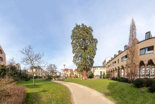 Kronberg, Germany - February 22, 2023: view at old School park in Kronberg sponsored by Queen Victoria with historic buildings at skyline.