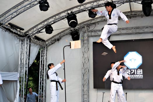Frankfurt, Germany - August 26, 2023: people have fun visiting the Museumsuferfest - engl: festival of the Museums at the river - with performance of taekwondo.