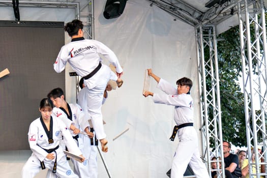 Frankfurt, Germany - August 26, 2023: people have fun visiting the Museumsuferfest - engl: festival of the Museums at the river - with performance of taekwondo.