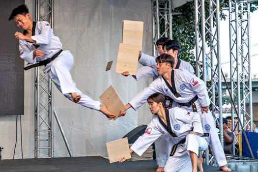 Frankfurt, Germany - August 26, 2023: people have fun visiting the Museumsuferfest - engl: festival of the Museums at the river - with performance of taekwondo.