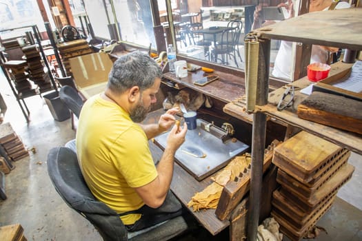 New Orleans, USA - October 25, 2023: cigar maker rolls the leaves of dried cuban and american tobacco to a cigar.