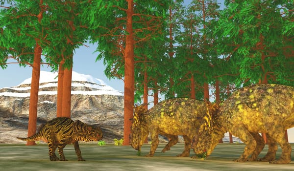 Pachyrhinosaurus was a Ceratopsian herbivorous dinosaur that lived in Alberta, Canada during the Cretaceous Period.