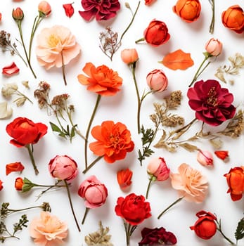 Collection set of spring flowers