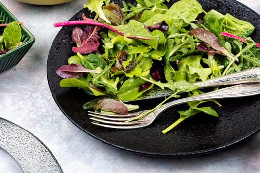 Natural salad of fresh spring greens, herbs and lettuce on a plate. Mixed greens.