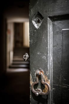 Ancient open door. Wooden door. Details of retro knocker. Blurred indoor.