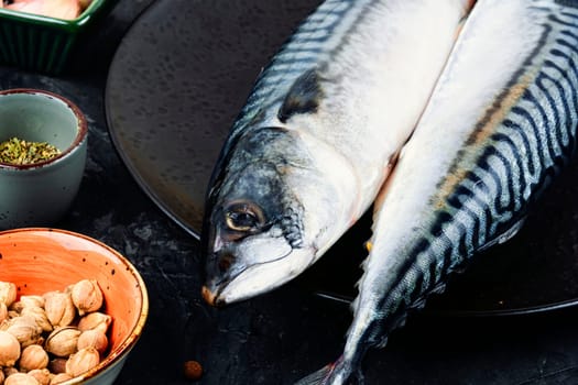 Raw delicious mackerels or scomber and ingredients for cooking. Raw uncooked fish.