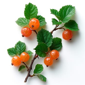 Cloudberry, northern berry on a white isolated background AI generated image