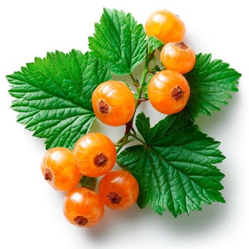 Cloudberry, northern berry on a white isolated background AI generated image