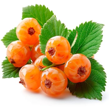 Cloudberry, northern berry on a white isolated background AI generated image