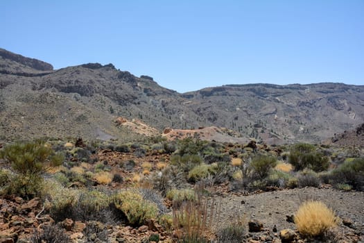 Volcanic landscape in El Teide National Park on the Canary Island of Tenerife, Spain