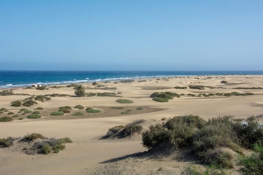 Sandy beach and dunes of Maspalomas on Gran Canaria in Spain. View of the sea, with blue sky. The huge sand dunes resemble a small desert and are a nature reserve.,Sandy beach and dunes of Maspalomas on Gran Canaria in Spain. View of the sea, with blue sky. The huge sand dunes resemble a small desert and are a nature reserve.